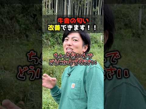 堆肥が臭いのはなぜですか?悪臭を防ぐために避けるべき5つの間違い  庭園