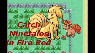 How to Catch Vulpix Ninetales in Pokemon Fire Red Leaf Green