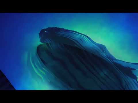 多媒體案例 - 大型集會互動展示