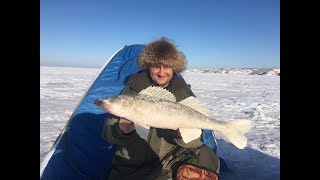 Зимния рыбалка на ириклинском водохранилище