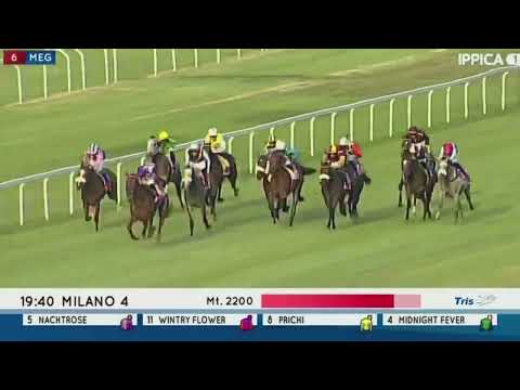 2022.06.19 Oaks d'Italia - Nachtrose