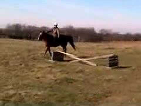 Rachel and Tucker, 3rd Time Bridleless