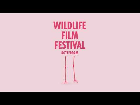 ADCN Awards 2018 - Silver - Wildlife Film Festival