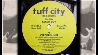 Verticle Lines - Beach Boy RARE (1982)