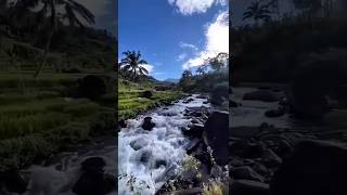 Download lagu the gift of unparalleled natural beauty mp3