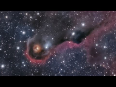 IC1396A  Elefantenrüssel-Nebel