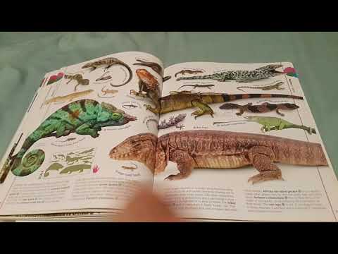 the animal book a visual encyclopedia of life on earth