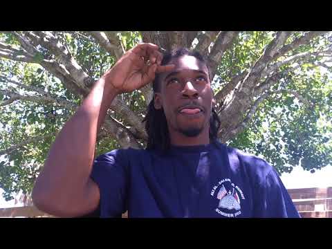 How to truly meditate (shambhavi mudra)