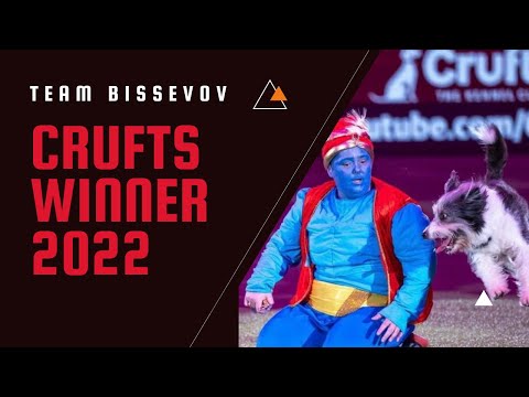 Crufts 2022 - Heelwork to music international winner