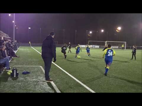 E. Louwel B - BS Sport A (JVGH Ladies): samenvatting