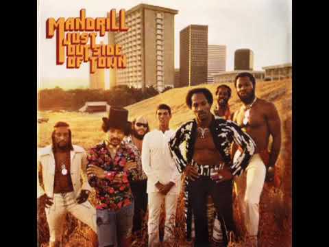 Mandrill   Africus Retrospectus