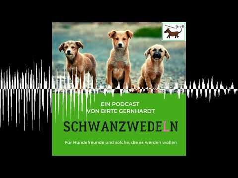 67 Adventszeit mit Hunden - Schwanzwedeln