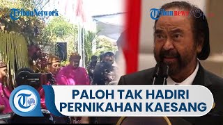Ketum Nasdem Surya Paloh Absen di Pernikahan Kaesang-Erina, Hubungannya dengan Jokowi Sirna?