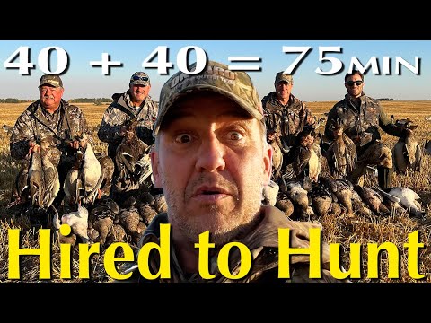 Alberta Duck and Goose Hunting: Hired to Hunt Specs, Canadas, Ducks and DiveBombs @divebombsquad