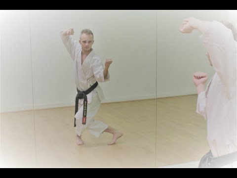 Goju - Ryu Seipai kata