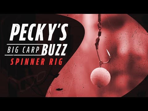 Darrell Peck Spinner Rig | Pecky’s Big Carp Buzz