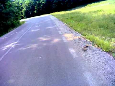 the road to ciolanesti, teleorman