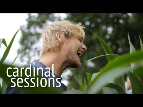 Steaming Satellites - How Dare You - CARDINAL SESSIONS (Appletree Garden Special)