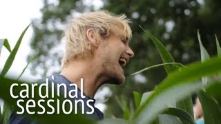 Steaming Satellites - How Dare You - CARDINAL SESSIONS (Appletree Garden Special)