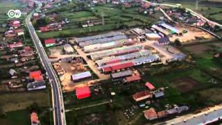 Romania: Clearcutting in the Carpathians | European Journal