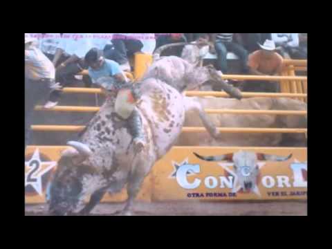 EL CORRIDO DE BRUNO LUNA