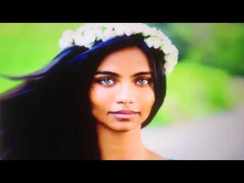 download lagu mp3 mp4 Deaths In 2017 Full List, download lagu Deaths In 2017 Full List gratis, unduh video klip Deaths In 2017 Full List