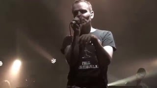 belle and sebastian - the cat with the cream (live)