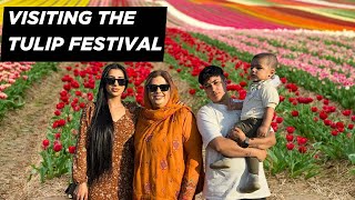 Day Out In The Tulip Fields | Farmer Copleys Tulip Festival 2026 | #viralvideo #reflexion#familytime #tulipfestival #amsterdam #tulip #festival gameplay video by alucas, 19:49 duration