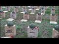 Podcast Rosalux History Folge 8 Der Überfall Der Wehrmacht Auf Die Sowjetunion