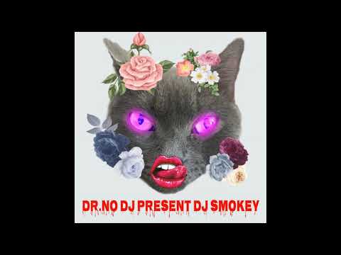 Best of House music mashup and mix 2020 (Dr. No dj present Dj Smokey)