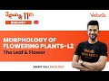 Morphology Of Flowering Plants - L2 | The Leaf& Flower | Umang-11 | Amrit Sir | Vedantu Math