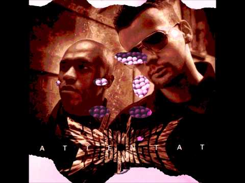 Soundkail feat Dynam -  Insertion Impossible - High Quality