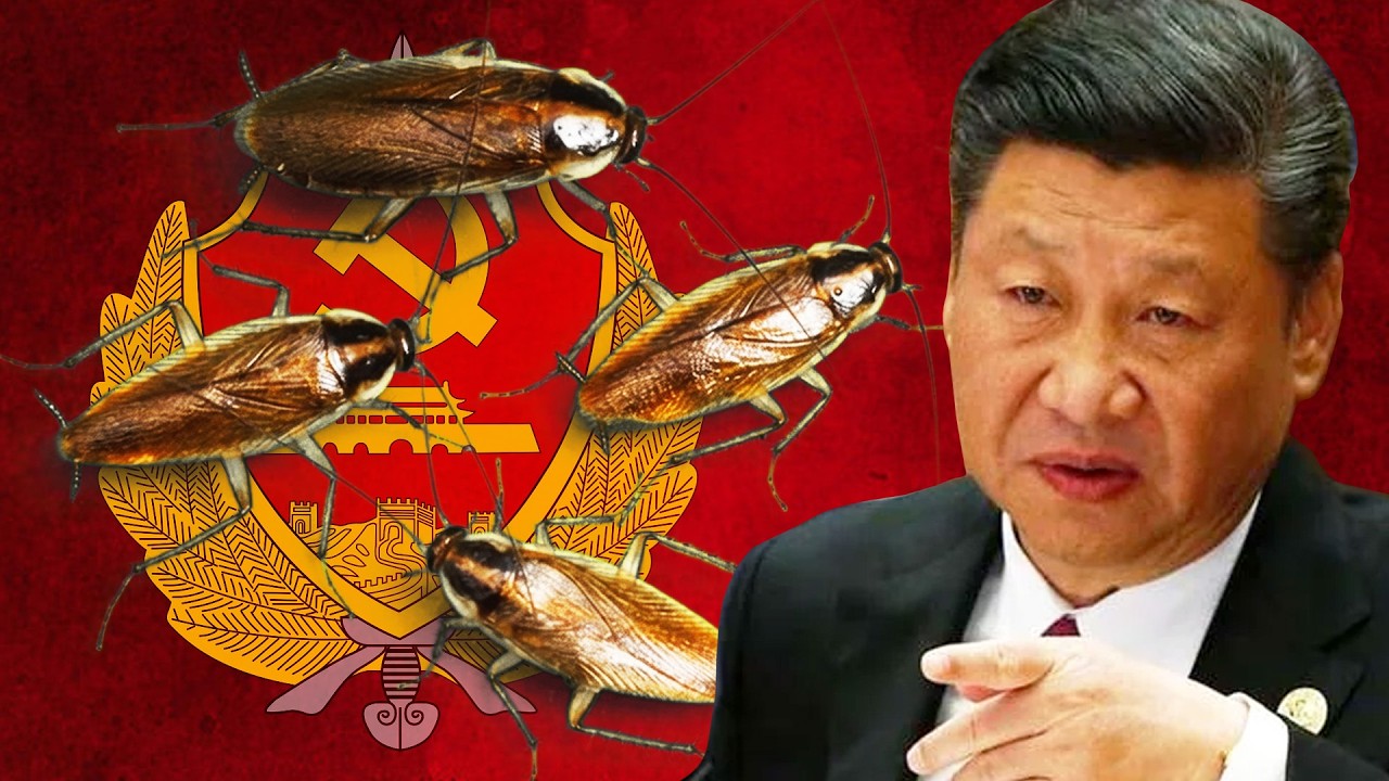 China Has a Cockroach Problem and Can’t Stop It