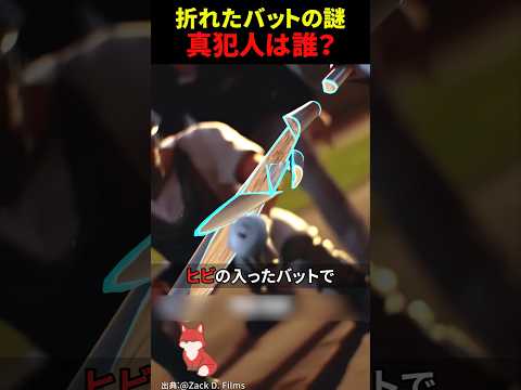 ㊗️200万回再生‼︎ プロ野球史上最大の“バット事件”がこちら