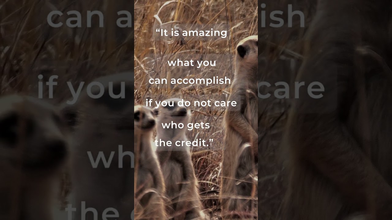 Best Teamwork Quotes to Inspire Collaboration | Effective Communication