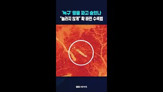 '늑구' 땅굴 파고 숨었나..놀라지 않게 확 바뀐 수색법 #shorts