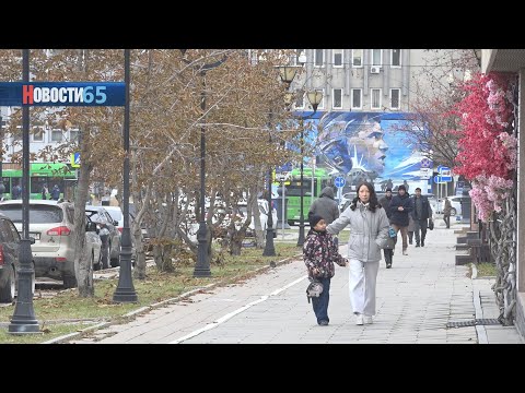 Новые постановления. Какие главные законодательные изменения ждут россиян в ноябре?
