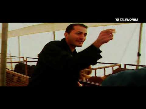 Mudù 21x3 (part 1) - Telenorba