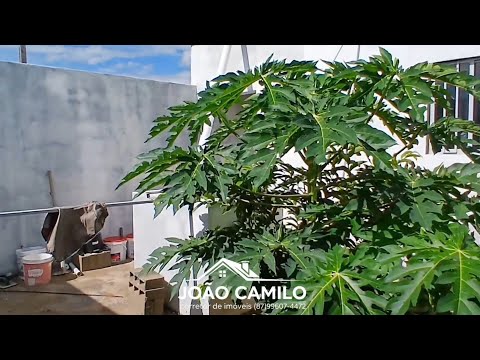 🏠VENDE-SE OU TROCA CASA MEDINDO 06x20, PREÇO R$130.000 MIL SANTA TEREZINHA - PE.