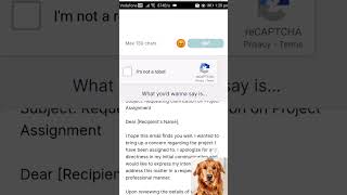 Angry Email Translator