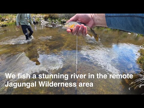 Family hike and trout fish in the Jagungal Wilderness area - P2 - first day of fishing - hallelujah