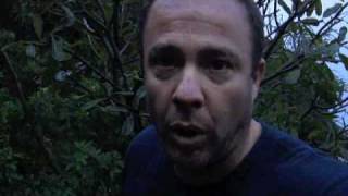 My Secret to Being a Peak Performance Entrepreneur