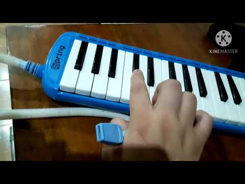 Aula 01# Escaleta do Zero