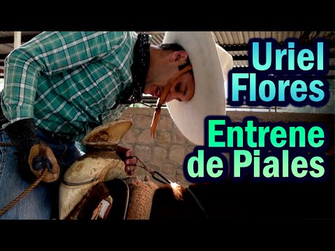 Entrenando PIALES con Uriel Flores - Piales en el Lienzo Experiencias y Vivencias