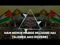Ham Momin Marde Mujahid Hai || Slowed And Reverb || #masjideaqsa  #trending #naatsharif