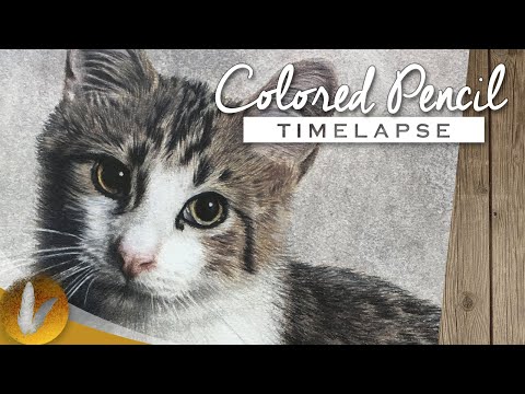 Realistic Cat Colored Pencil Drawing | Timelapse