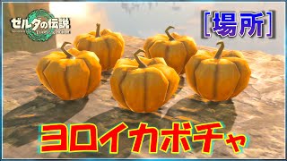 【ゼルダの伝説ティアキン】「ヨロイカボチャ」の入手方法！自然界で取れる場所＆売っている場所を紹介