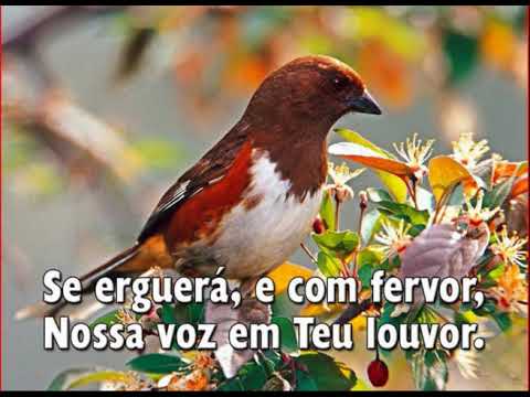 006 POR BELEZAS NATURAIS - HINÁRIO ADVENTISTA