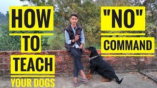 How to Teach Your Dogs "NO" Command, Dogs Training part 3