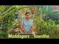 Muddugare Yasodha Krishna Jayanti Celebrations Janmashtami Special Gayathri S Raga